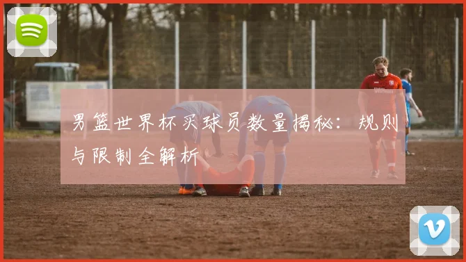 男篮世界杯买球员数量揭秘：规则与限制全解析